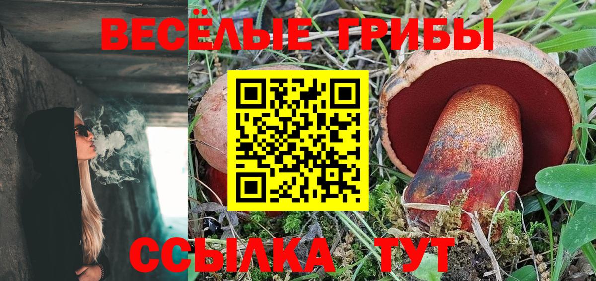 Галлюциногенные грибы MAGIC MUSHROOMS Советск