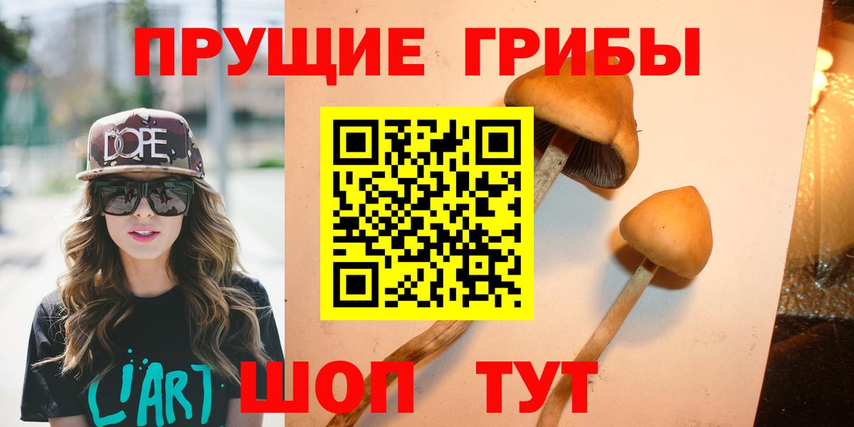Советск  Псилоцибиновые грибы Cubensis  купить наркоту  Галлюциногенные грибы Magic Shrooms  Вход с VPN 